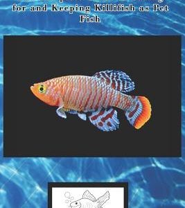 Killifish Care: The Complete Guide to Caring for and Keeping Killifish as Pet Fish