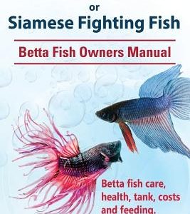 Betta Fish or Siamese Fighting Fish. Betta Fish Owners Manual. Betta fish care, health, tank, costs and feeding.