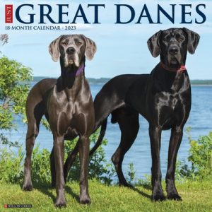 Just Great Danes 2023 Wall Calendar
