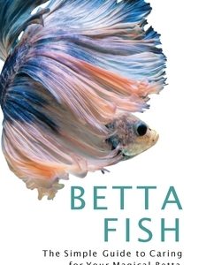 Betta Fish