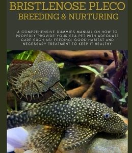 Beginners Guide Book on Bristlenose Pleco Breeding & Nurturing: A Comprehensive Dummies Manual on How to Properly Provide Your Sea Pet with Adequate C