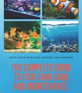 The Complete Guide to Fish Tank Care and Maintenance: Fishkeeping Made Easy