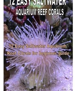 12 Easy Saltwater Aquarium Reef Corals: 12 Easy Saltwater Aquarium Reef Corals for beginner guide