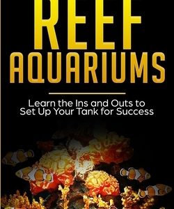 Reef Aquariums: Learn the Ins and Outs to Set Up Your Tank for Success