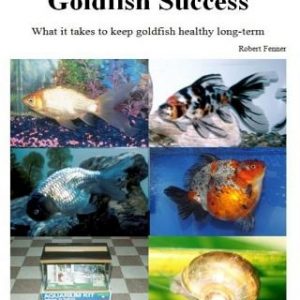 Goldfish Success: What it takes to keep goldfish healthy long-term