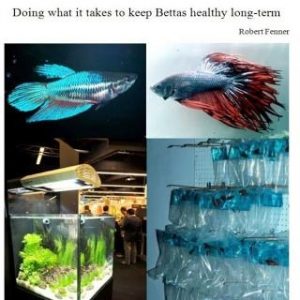 Betta Success: Doing what it takes to keep Bettas healthy long-term