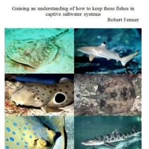 Sharks & Rays in Aquariums: Gaining an understanding of how to keep these fishes in captive saltwater systems