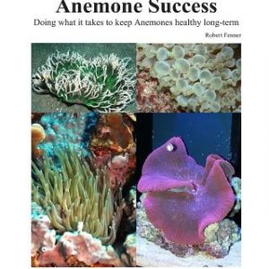 Success With Anemones: Doing what it takes to keep Anemones healthy long-term
