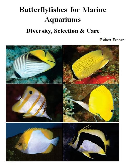 Butterflyfishes for Marine Aquariums: Diversity, Selection & Care