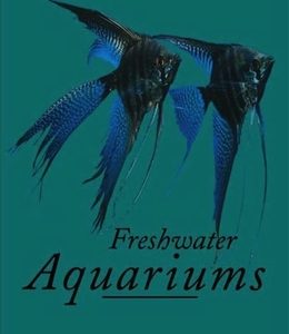 Freshwater Aquariums in Your Life