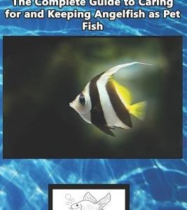 Angelfish Care: The Complete Guide to Caring for and Keeping Angelfish as Pet Fish