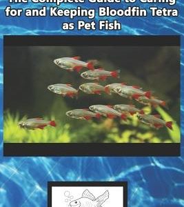 Bloodfin Tetra Care: The Complete Guide to Caring for and Keeping Bloodfin Tetra as Pet Fish