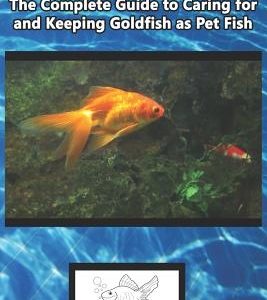 Goldfish Care: The Complete Guide to Caring for and Keeping Goldfish as Pet Fish