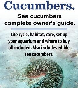Sea Cucumbers. Seacucumbers complete owner's guide. Life cycle, habitat, care, set up your aquarium and where to buy all included. Also includes edibl