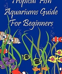 Tropical Fish Aquariums Guide for Beginners: All You Need to Know to Set Up and Maintain a Beautiful Tropical Fish Aquarium Today.