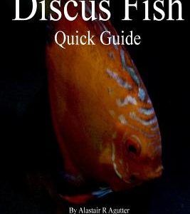 Keeping Discus Fish Quick Guide: Health Care Advice for Aquarium Bred Discus Tropical Fish