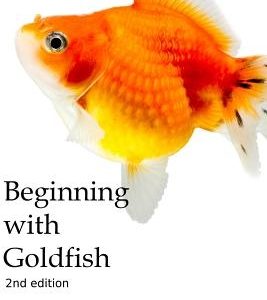 Beginning with Goldfish