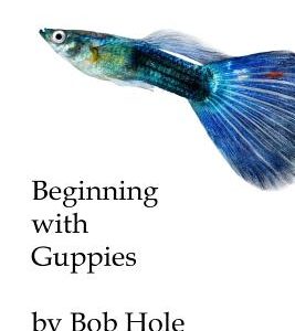 Beginning with Guppies