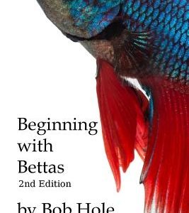 Beginning with Bettas