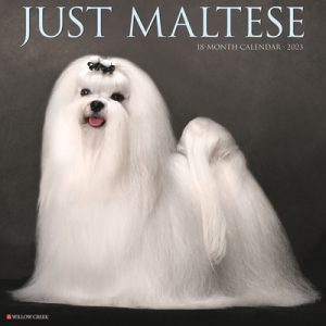 Just Maltese 2023 Wall Calendar