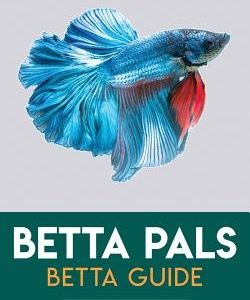 Betta Pals Betta Guide: Keep A Better Betta!