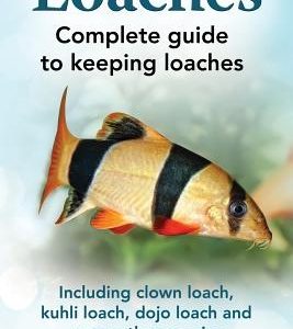 Loaches: Complete Guide to Keeping Loaches. Including Clown Loach, Kuhli Loach, Dojo Loach and Many Other Species.
