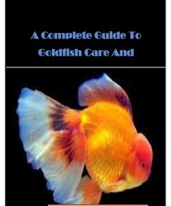 Goldfish: A Complete Guide To Goldfish Care And Management