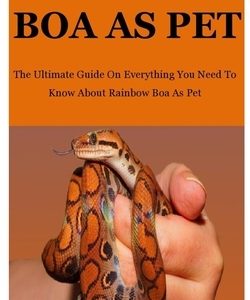 Rainbow Boa As Pet: The Ultimate Guide On Everything You Need To Know About Rainbow Boa As Pet