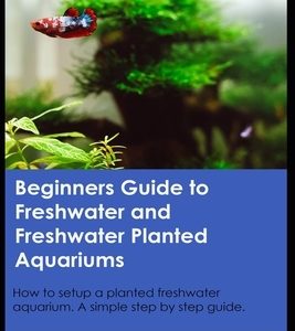 Beginners Guide to Freshwater and Freshwater Planted Aquariums: How to setup a planted freshwater aquarium. A simple step by step guide.