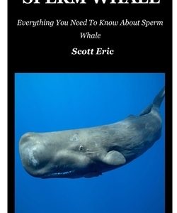 Sperm Whale: Everything You Need To Know About Sperm Whale