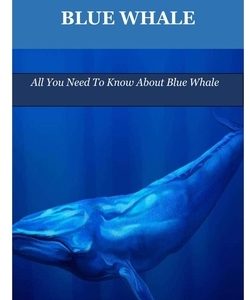 Blue Whale: All You Need To Know About Blue Whale
