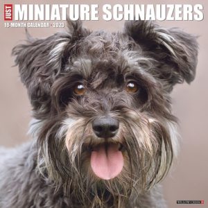 Just Miniature Schnauzers 2023 Wall Calendar