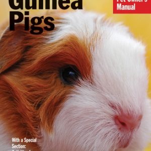 Guinea Pigs