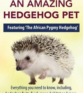 How to Keep an Amazing Hedgehog Pet. Featuring 'The African Pygmy Hedgehog' !!: Everything you Need to Know, Including, Hedgehog Facts, Food, Cages, H