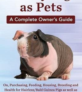 Skinny Pigs as Pets. a Complete Owner's Guide On, Purchasing, Feeding, Housing, Breeding and Health for Hairless/Bald Guinea Pigs as Well as Informati