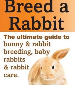 How to Breed a Rabbit: The Ultimate Guide to Bunny and Rabbit Breeding, Baby Rabbits and Rabbit Care