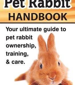 The Everything Pet Rabbit Handbook: Your Ultimate Guide to Pet Rabbit Ownership, Training, and Care