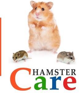 Hamster Care: The Essential Guide to Ownership, Care, & Training For Your Pet