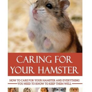 Caring for your Hamster: How to Care For Your Hamster and Everything You Need To Know To Keep Them Well