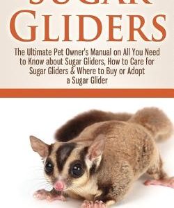 Sugar Gliders: The Ultimate Pet Owner's Manual on All You Need to Know about Sugar Gliders, How to Care for Sugar Gliders & Where to