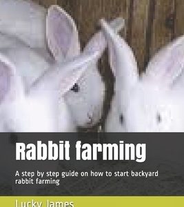 Rabbit farming: A step by step guide on how to start backyard rabbit farming