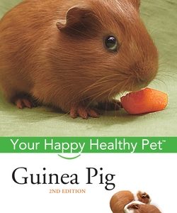Guinea Pig: Your Happy Healthy Pet
