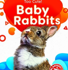 Baby Rabbits