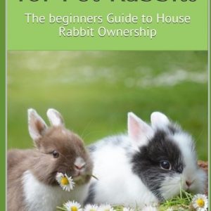 How to Care for Pet Rabbits: The beginners Guide to House Rabbit Ownership