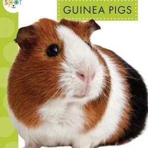 Guinea Pigs
