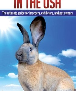 Continental Giant Rabbits in USA: The ultimate guide for breeders, exhibitors, and pet owners