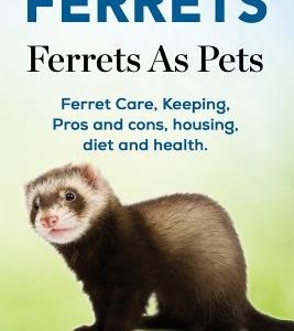 Ferrets. Ferrets As Pets. Ferret Care, Keeping, Pros and cons, housing, diet and health.
