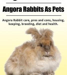 Angora Rabbit. Angora Rabbits As Pets. Angora Rabbit care, pros and cons, housing, keeping, breeding, diet and health.