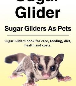 Sugar Glider. Sugar Gliders As Pets. Sugar Gliders book for care, feeding, diet, health and costs.