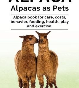 Alpaca. Alpacas as Pets. Alpaca book for care, costs, behavior, feeding, health, play and exercise.